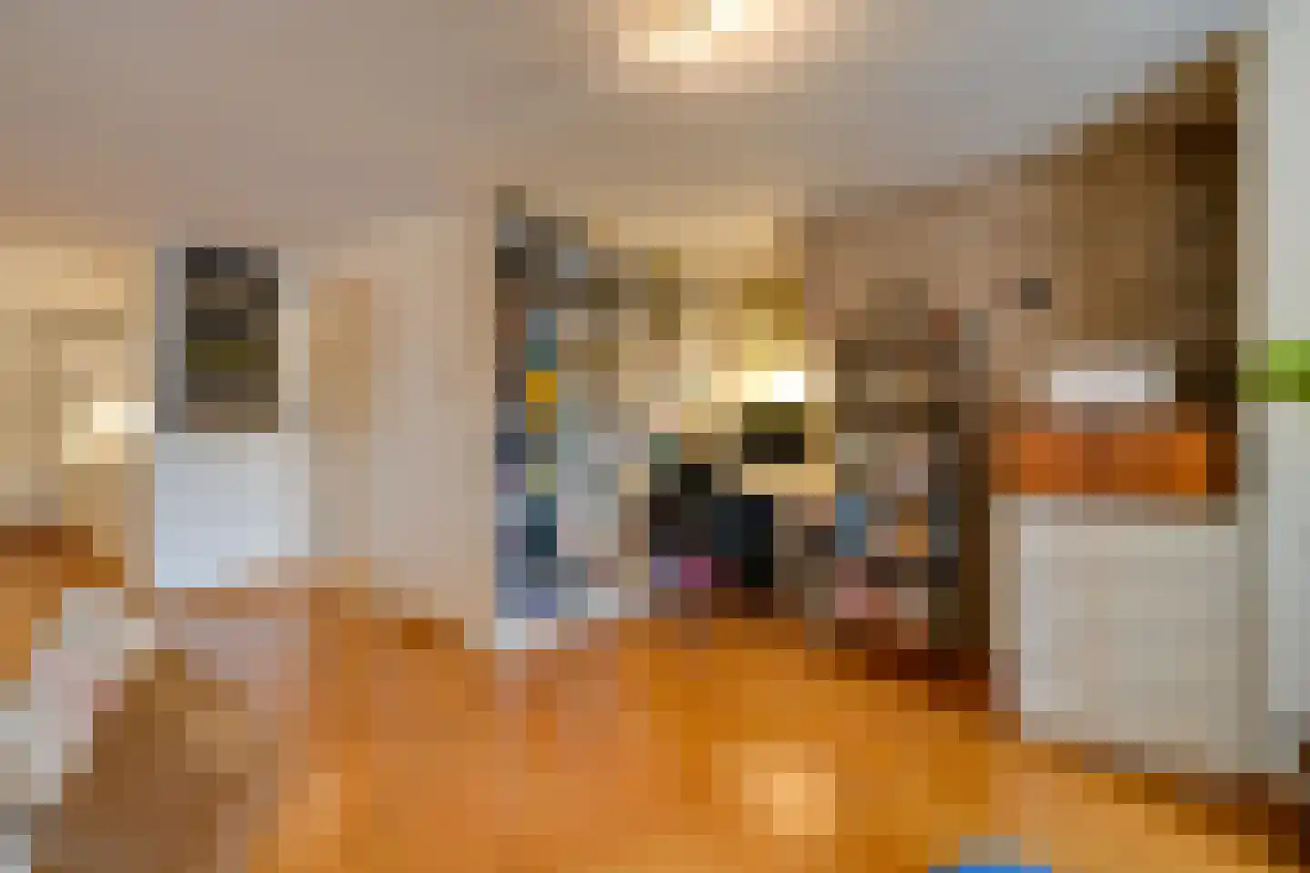 Oudwijk 23 E C Utrecht thumbnail 14