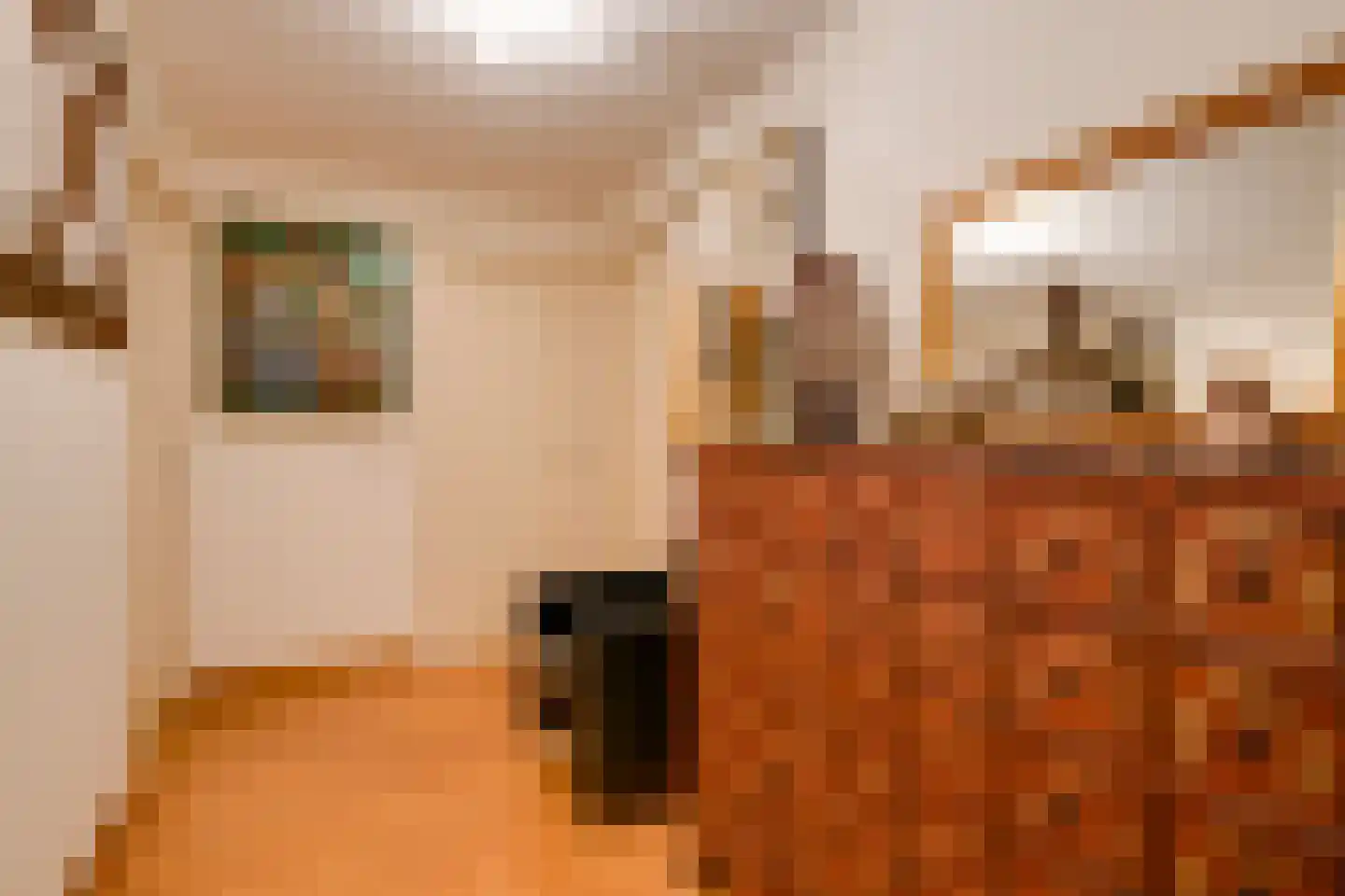 Oudwijk 23 E C Utrecht thumbnail 22