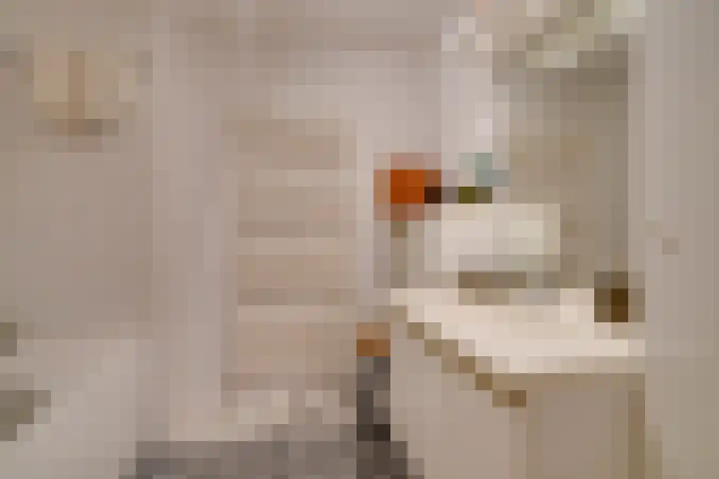Oudwijk 23 E C Utrecht thumbnail 25