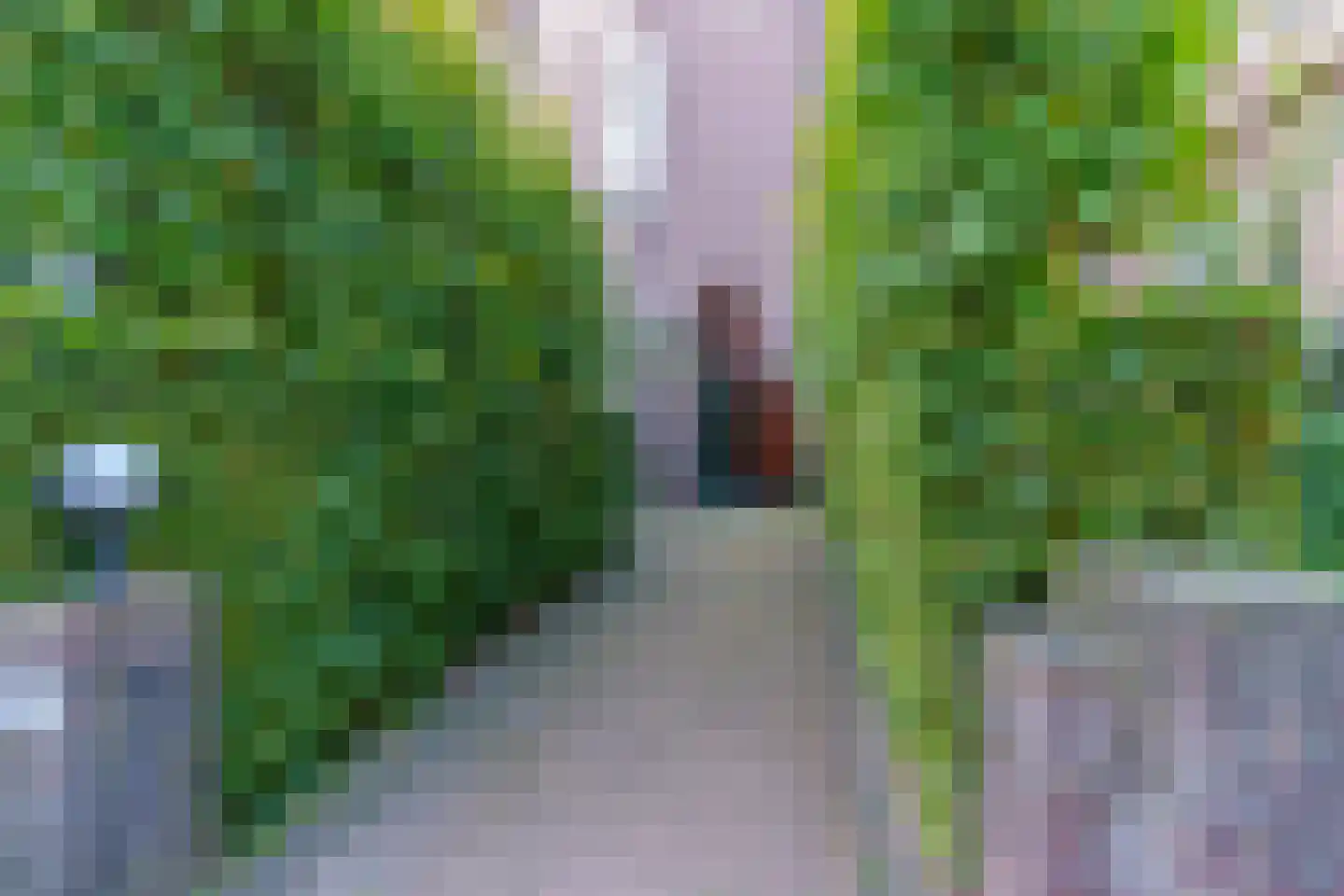 Oudwijk 23 E C Utrecht thumbnail 4