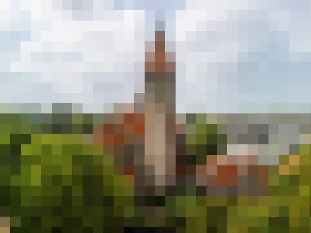 Oudwijk 23 Utrecht