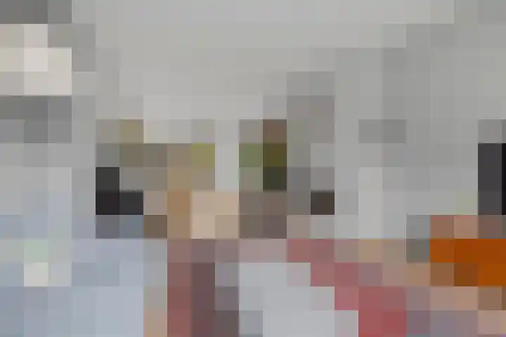 Oudwijk 3 Utrecht thumbnail 12