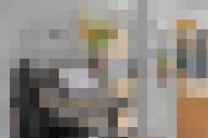 Oudwijk 3 Utrecht thumbnail 15