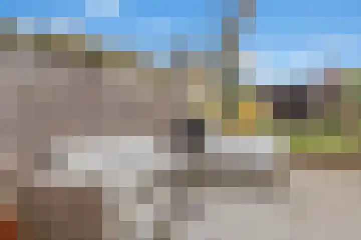 Oudwijk 3 Utrecht thumbnail 26