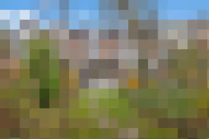 Oudwijk 3 Utrecht thumbnail 30