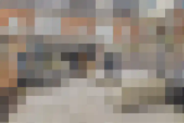 Oudwijk 3 Utrecht thumbnail 32