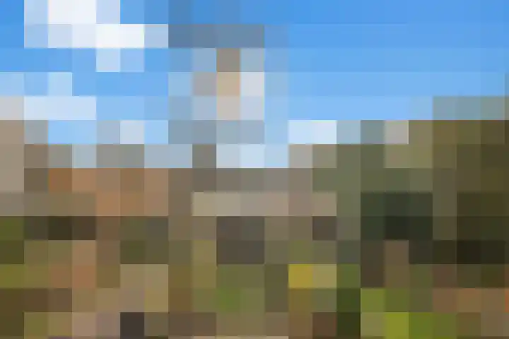 Oudwijk 3 Utrecht thumbnail 43
