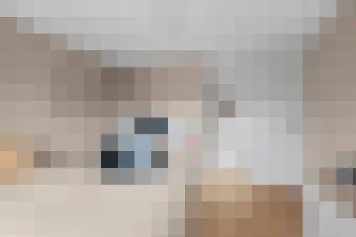 Oudwijk 3 Utrecht thumbnail 49
