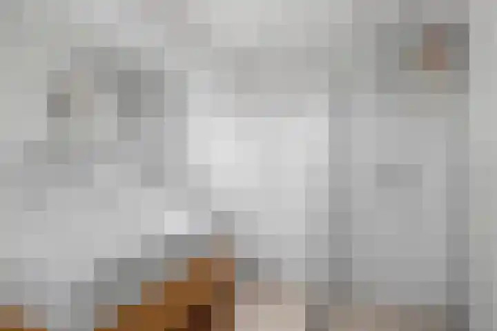 Oudwijk 3 Utrecht thumbnail 52