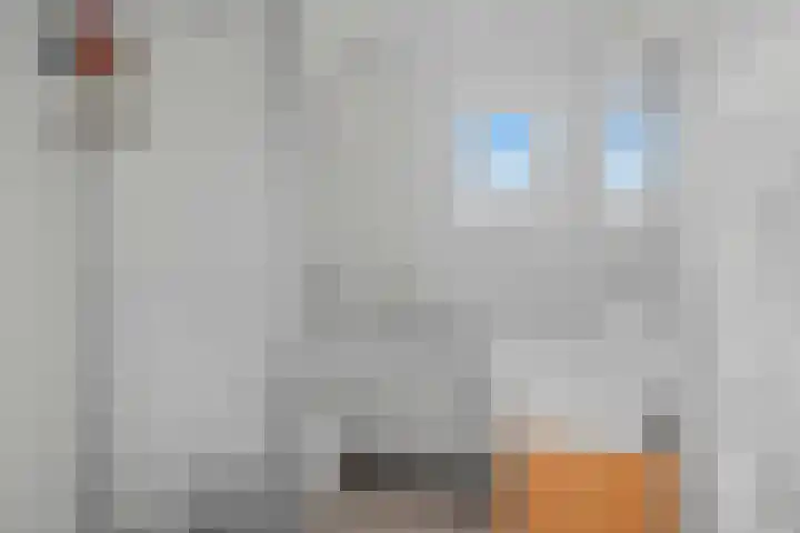 Oudwijk 3 Utrecht thumbnail 53