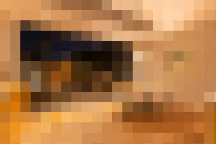 Oudwijk 3 Utrecht thumbnail 63