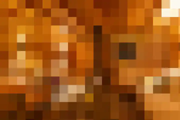 Oudwijk 3 Utrecht thumbnail 65