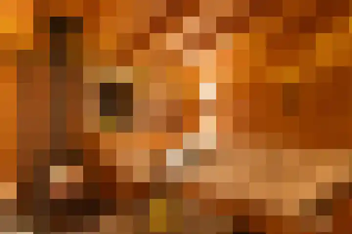 Oudwijk 3 Utrecht thumbnail 66