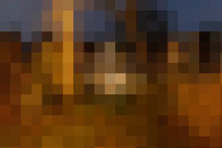 Oudwijk 3 Utrecht thumbnail 68