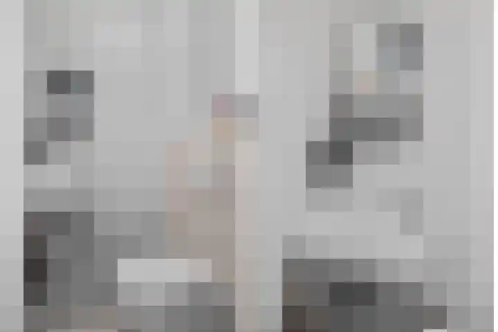 Oudwijk 3 Utrecht thumbnail 8