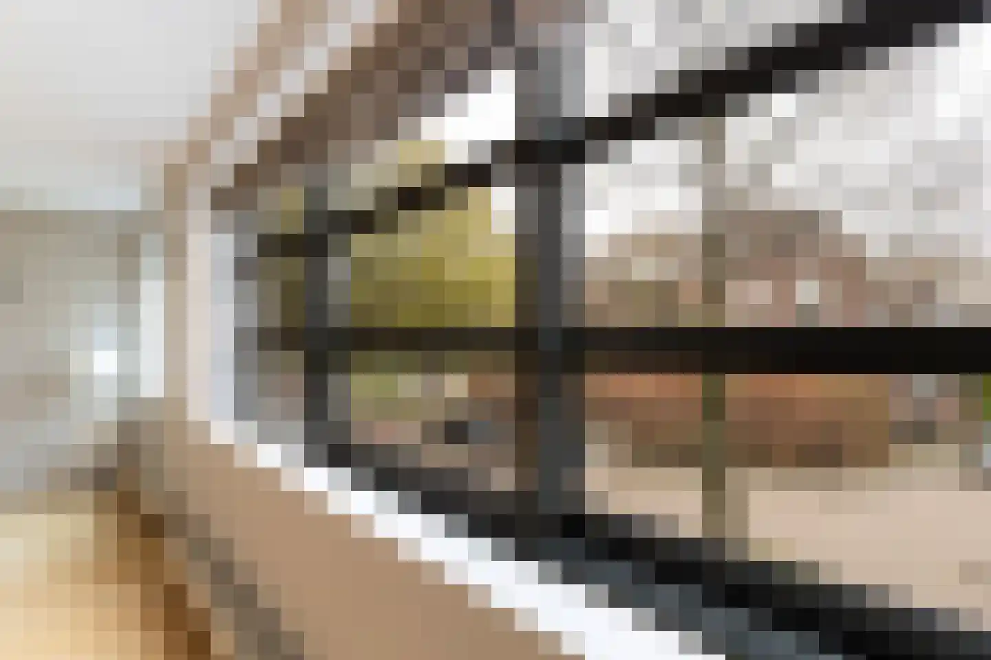 Oudwijk 51 Utrecht thumbnail 21