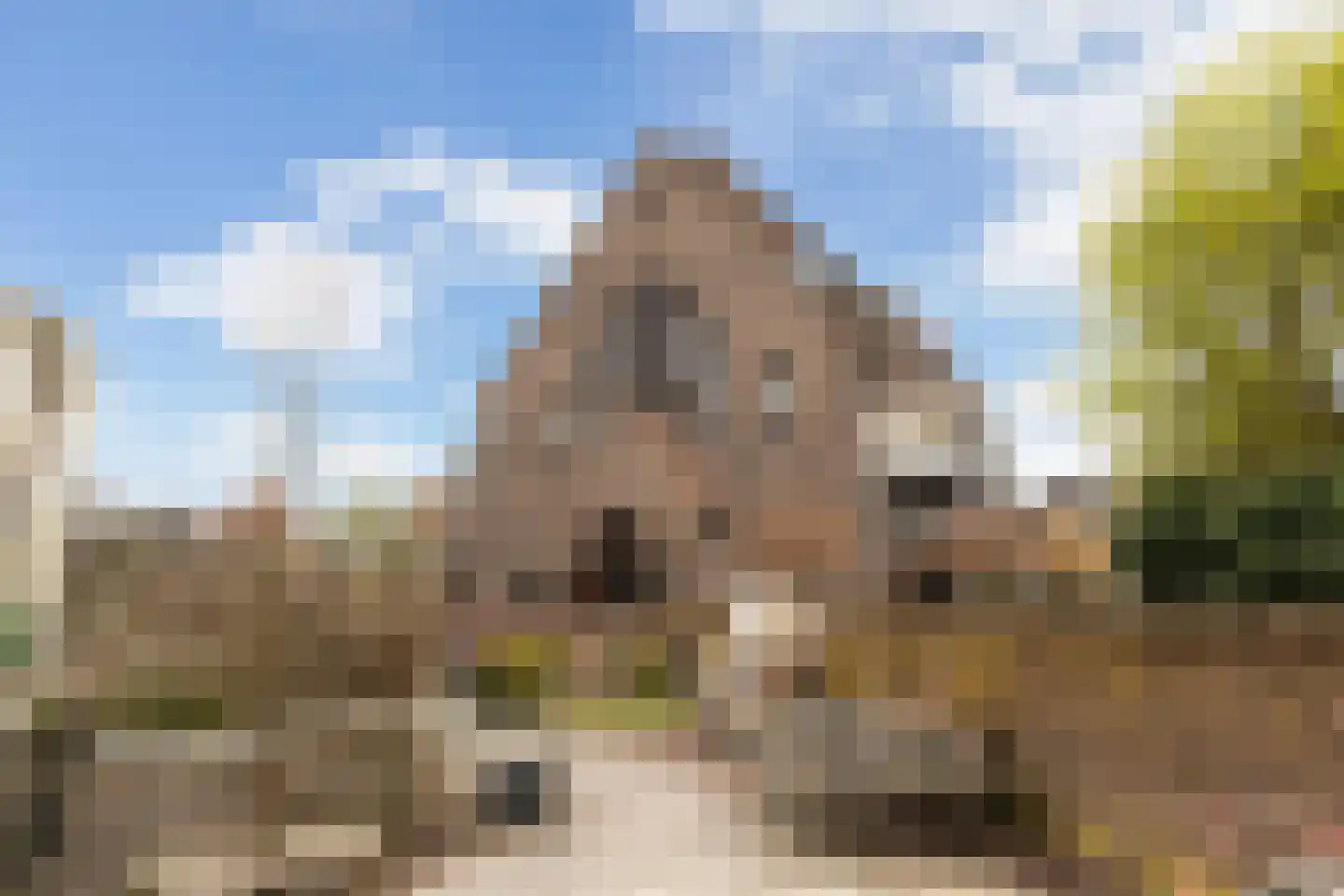 Oudwijk 51 Utrecht thumbnail 57