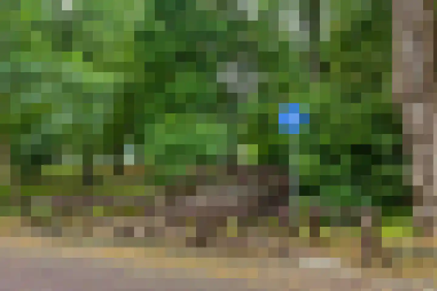 Oudwijk 51 Utrecht thumbnail 69