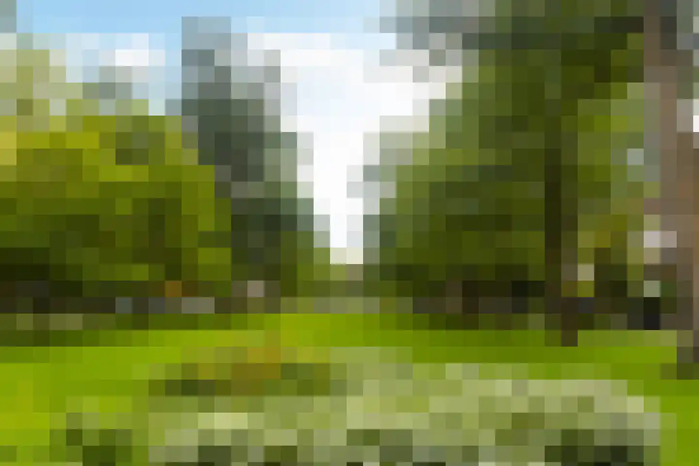 Oudwijk 51 Utrecht thumbnail 77