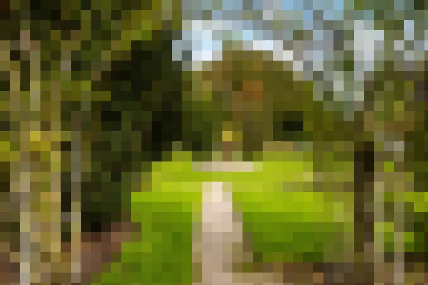 Oudwijk 51 Utrecht thumbnail 79