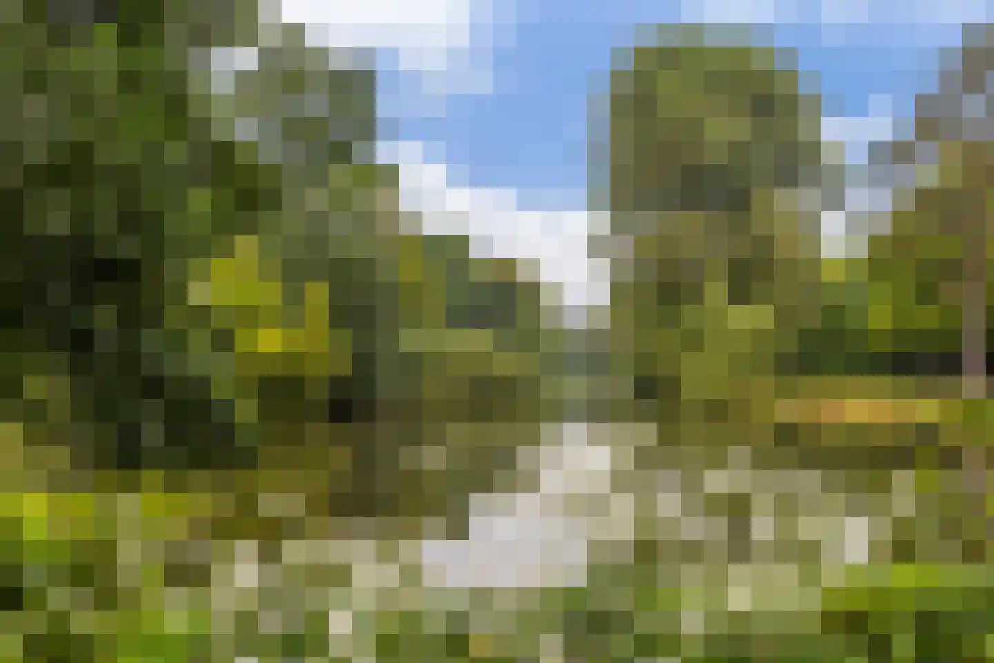 Oudwijk 51 Utrecht thumbnail 80