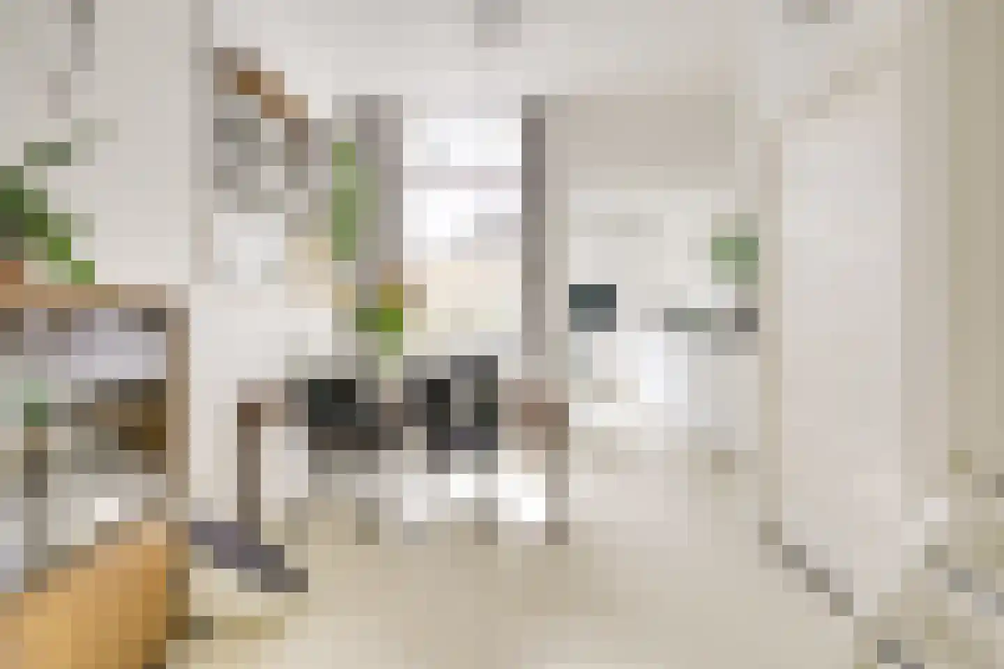 Oudwijkerdwarsstraat 141 Utrecht thumbnail 16