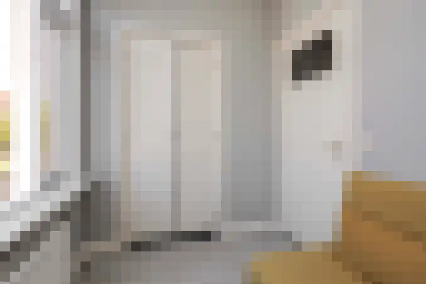 Oudwijkerdwarsstraat 155 Utrecht thumbnail 21