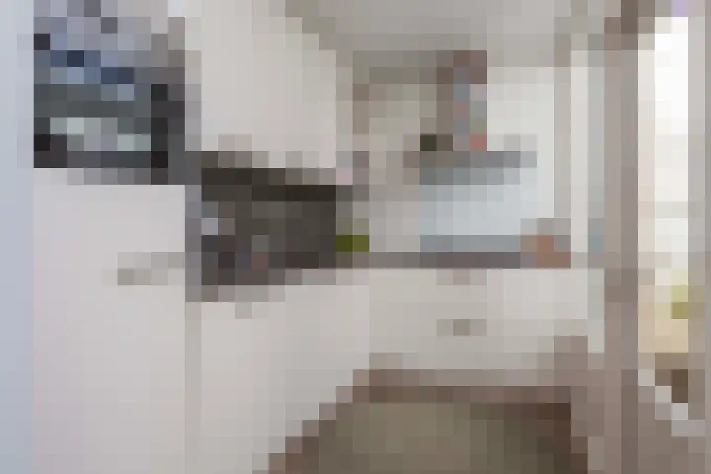 Oudwijkerdwarsstraat 155 Utrecht thumbnail 7