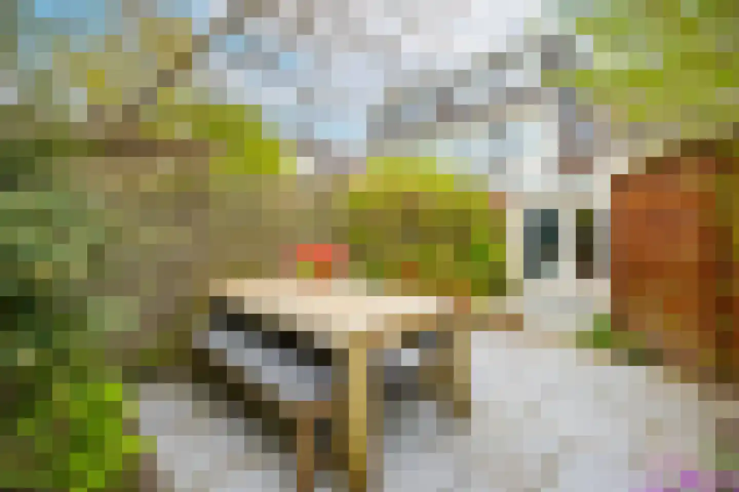 Oudwijkerdwarsstraat 38 Utrecht thumbnail 30