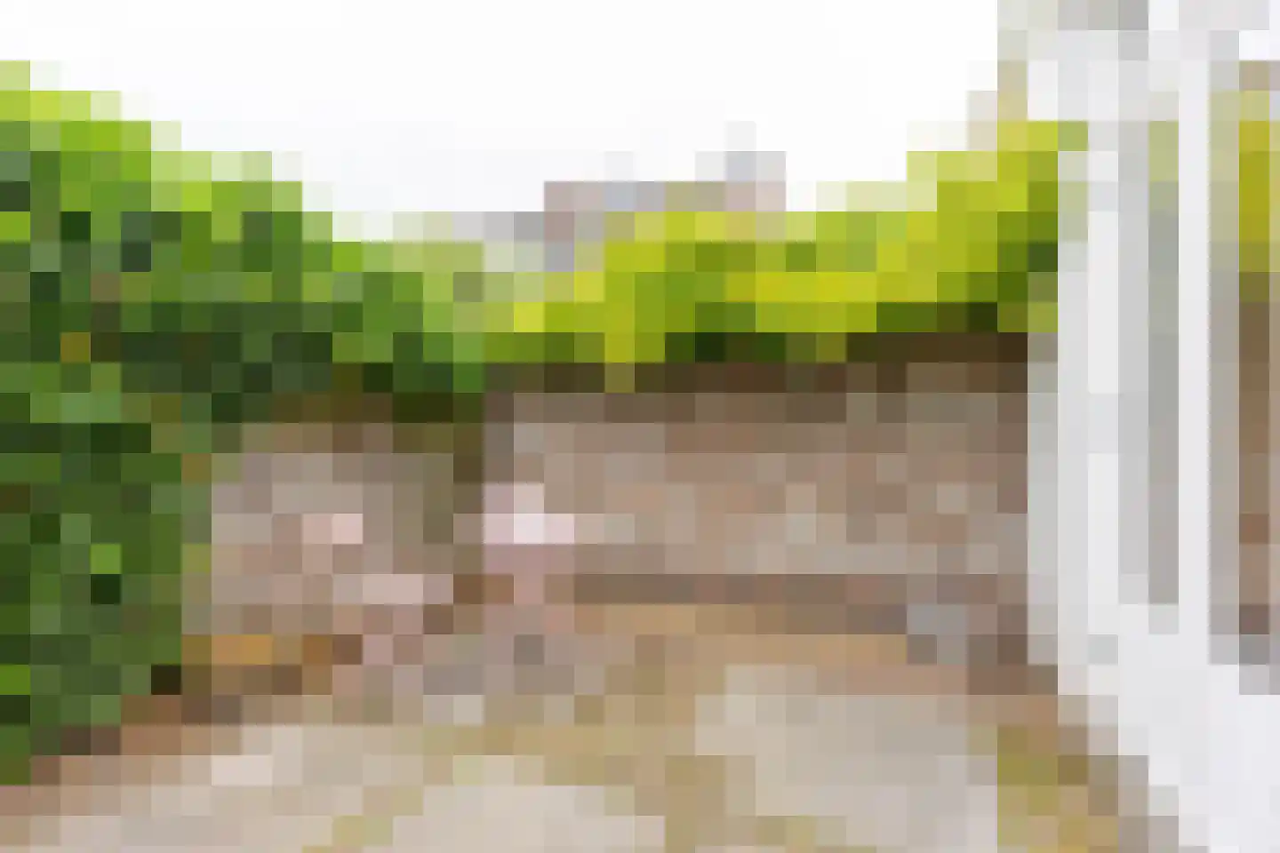 Oudwijkerdwarsstraat 92 Utrecht thumbnail 20