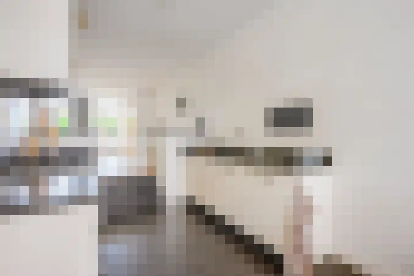 Oudwijkerdwarsstraat 92 Utrecht thumbnail 6
