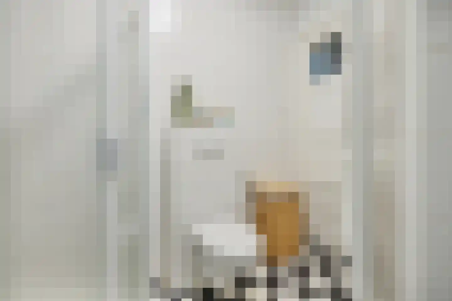 Oudwijkerlaan 1 B Utrecht thumbnail 24