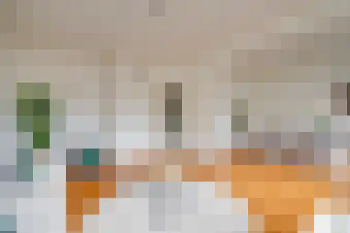 Oudwijkerlaan 4 2 Utrecht thumbnail 11