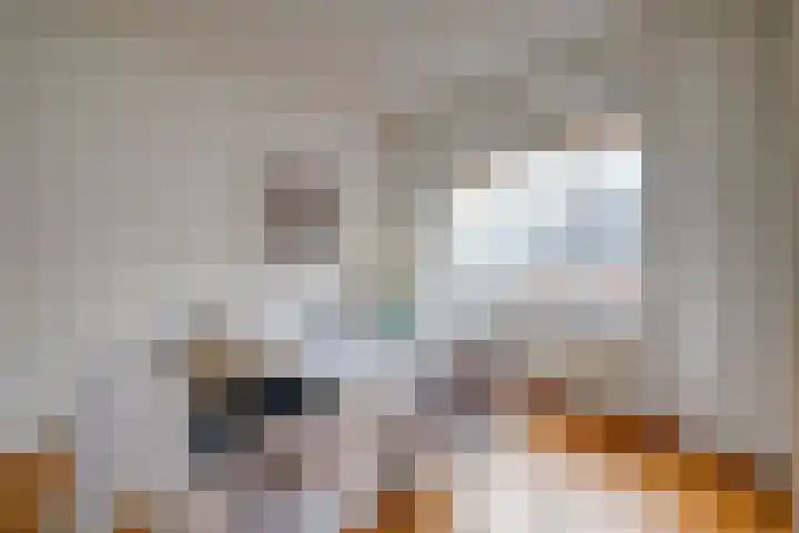 Oudwijkerlaan 4 2 Utrecht thumbnail 14