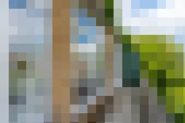 Oudwijkerlaan 4 2 Utrecht thumbnail 19
