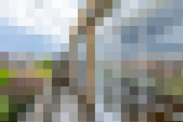 Oudwijkerlaan 4 2 Utrecht thumbnail 20