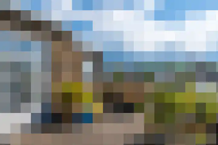 Oudwijkerlaan 4 2 Utrecht thumbnail 31