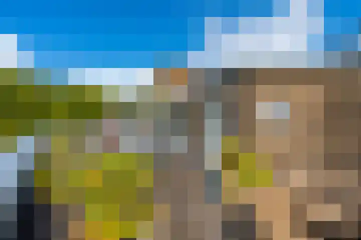 Oudwijkerlaan 4 2 Utrecht thumbnail 32
