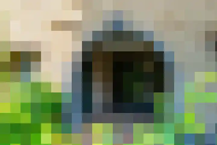 Oudwijkerlaan 4 2 Utrecht thumbnail 6