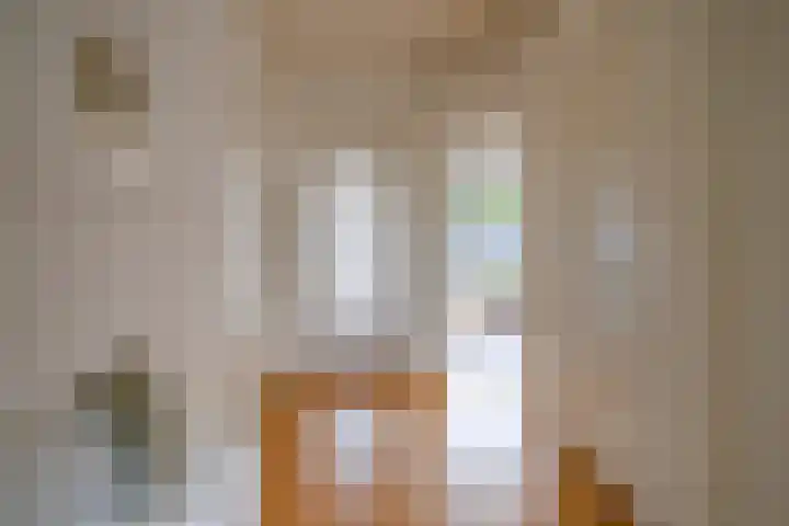 Oudwijkerlaan 4 2 Utrecht thumbnail 9