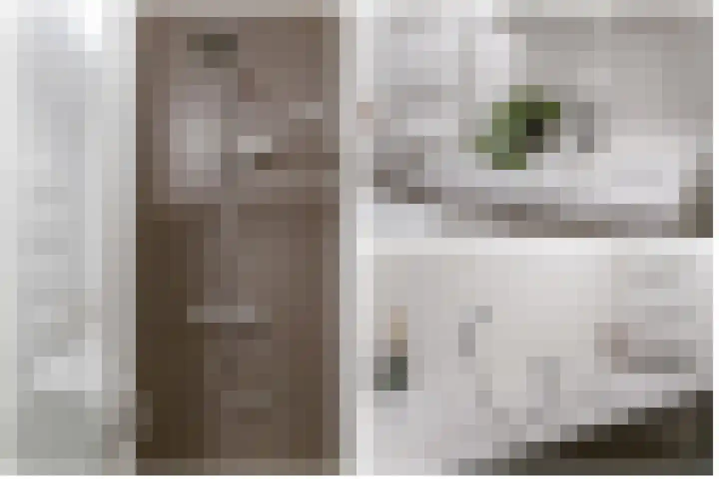 Oudwijkerveldstraat 12 Utrecht thumbnail 15