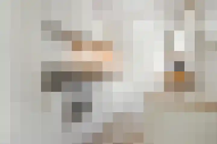 Oudwijkerveldstraat 63 Utrecht thumbnail 16