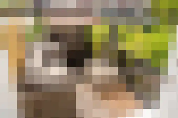 Oudwijkerveldstraat 63 Utrecht thumbnail 31