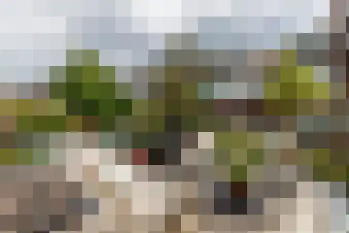 Oudwijkerveldstraat 97 Utrecht thumbnail 18