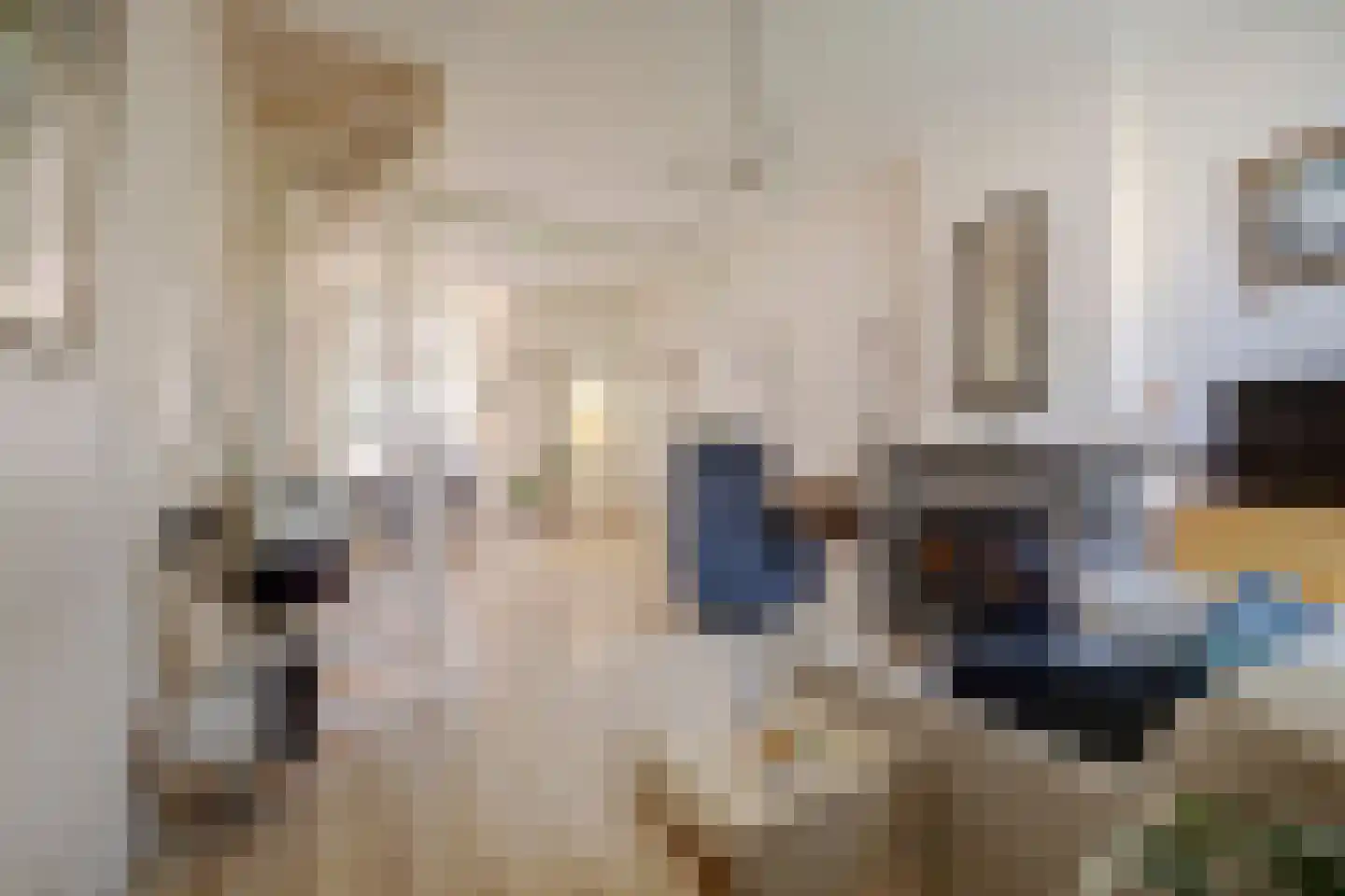 Oudwijkerveldstraat 98 Utrecht thumbnail 11