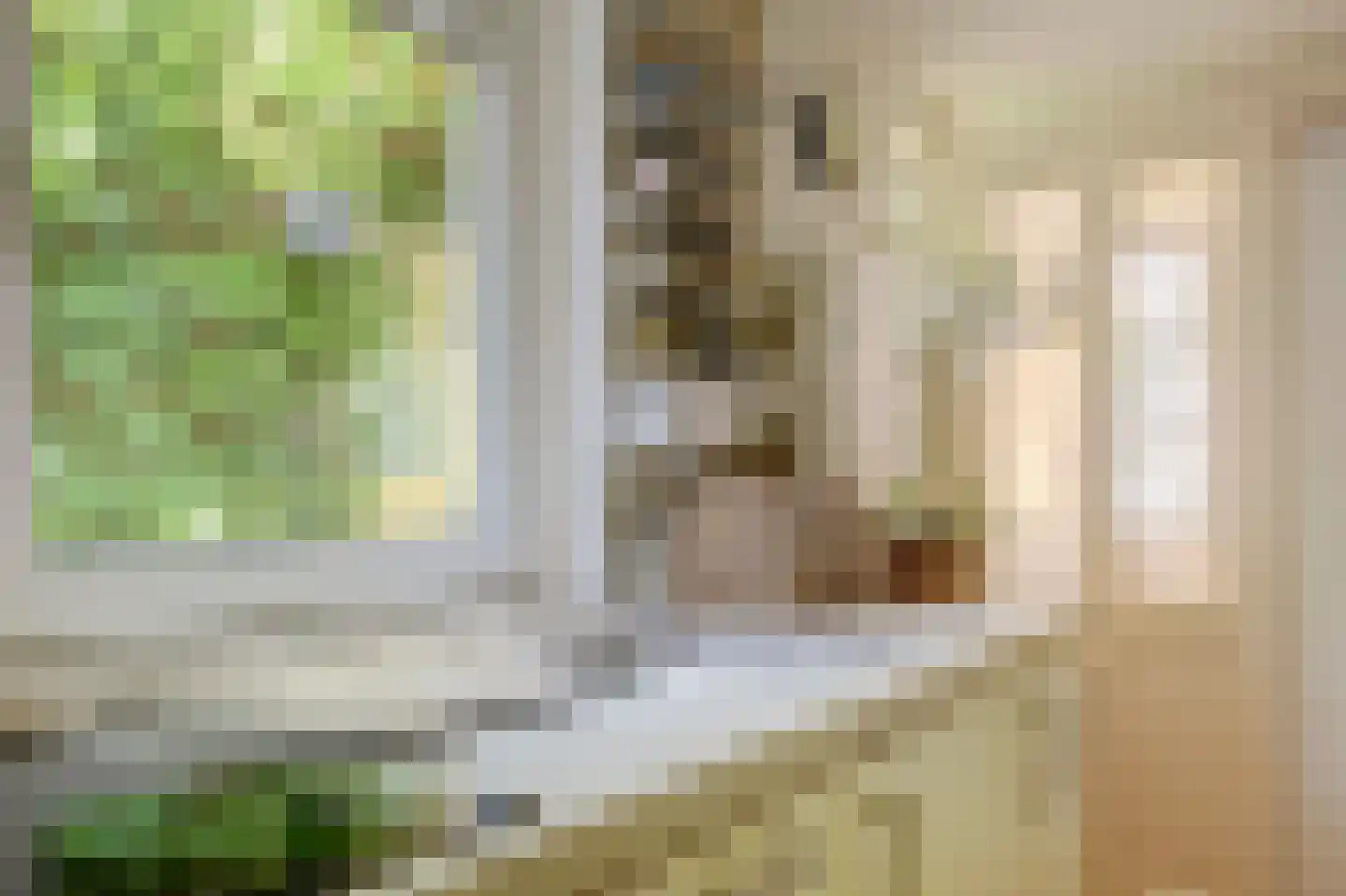 Oudwijkerveldstraat 98 Utrecht thumbnail 16