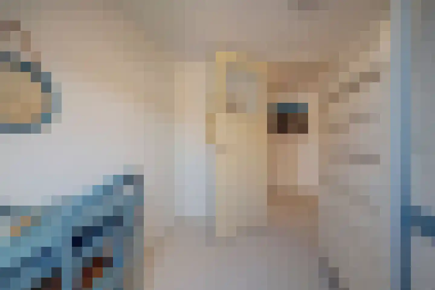 Oudwijkerveldstraat 98 Utrecht thumbnail 29