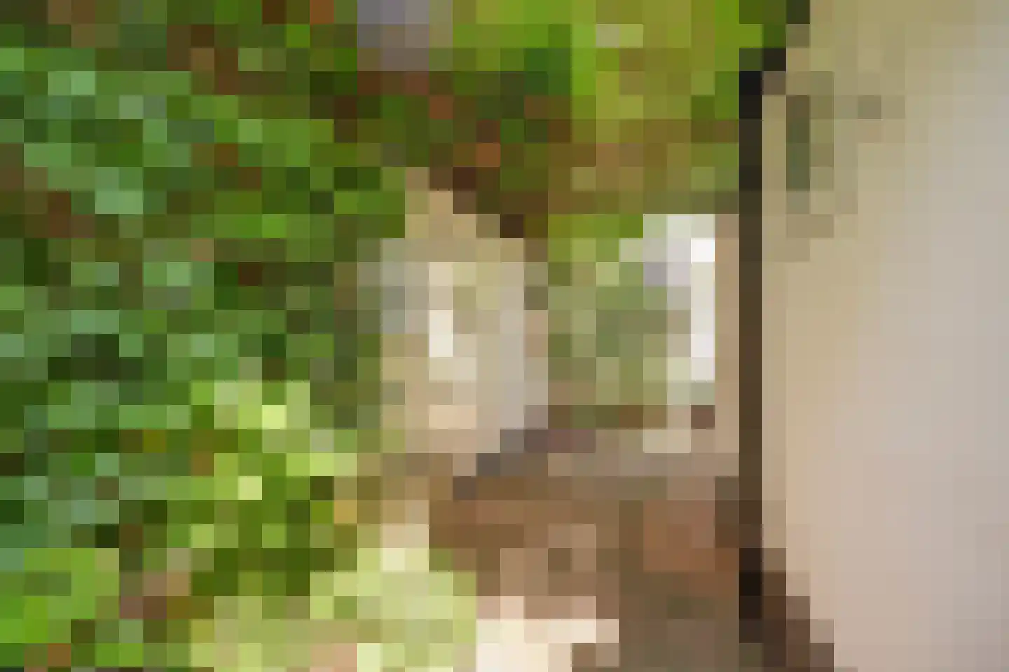 Oudwijkerveldstraat 98 Utrecht thumbnail 44