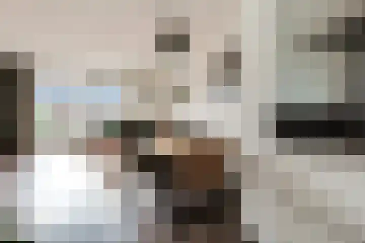Oudzoom 4 Bergschenhoek thumbnail 10