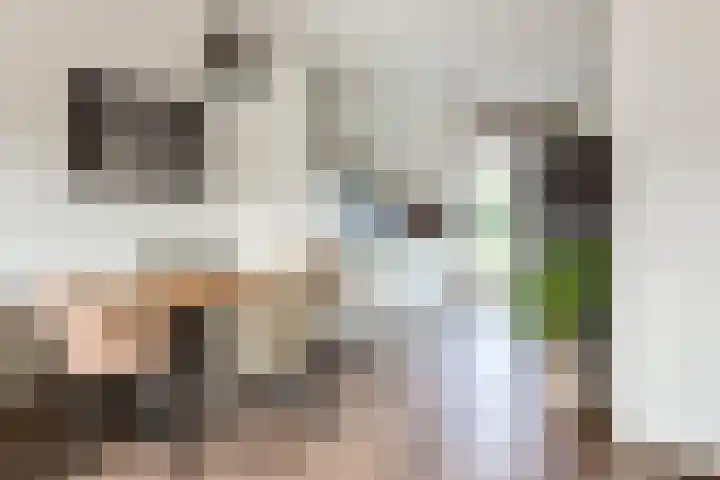 Oudzoom 4 Bergschenhoek thumbnail 11